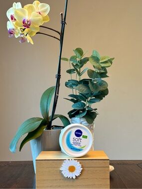NIVEA Soft Moisturizing Cream - White